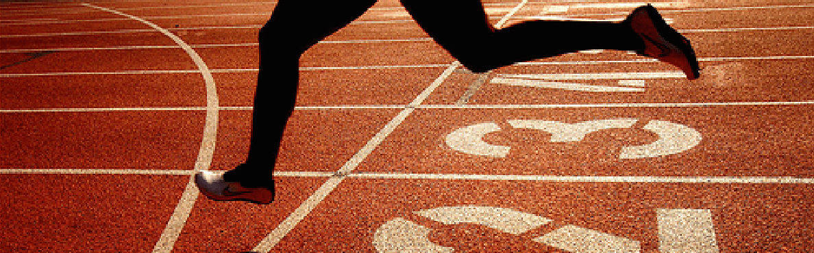 TICKEN Typediploma garantie